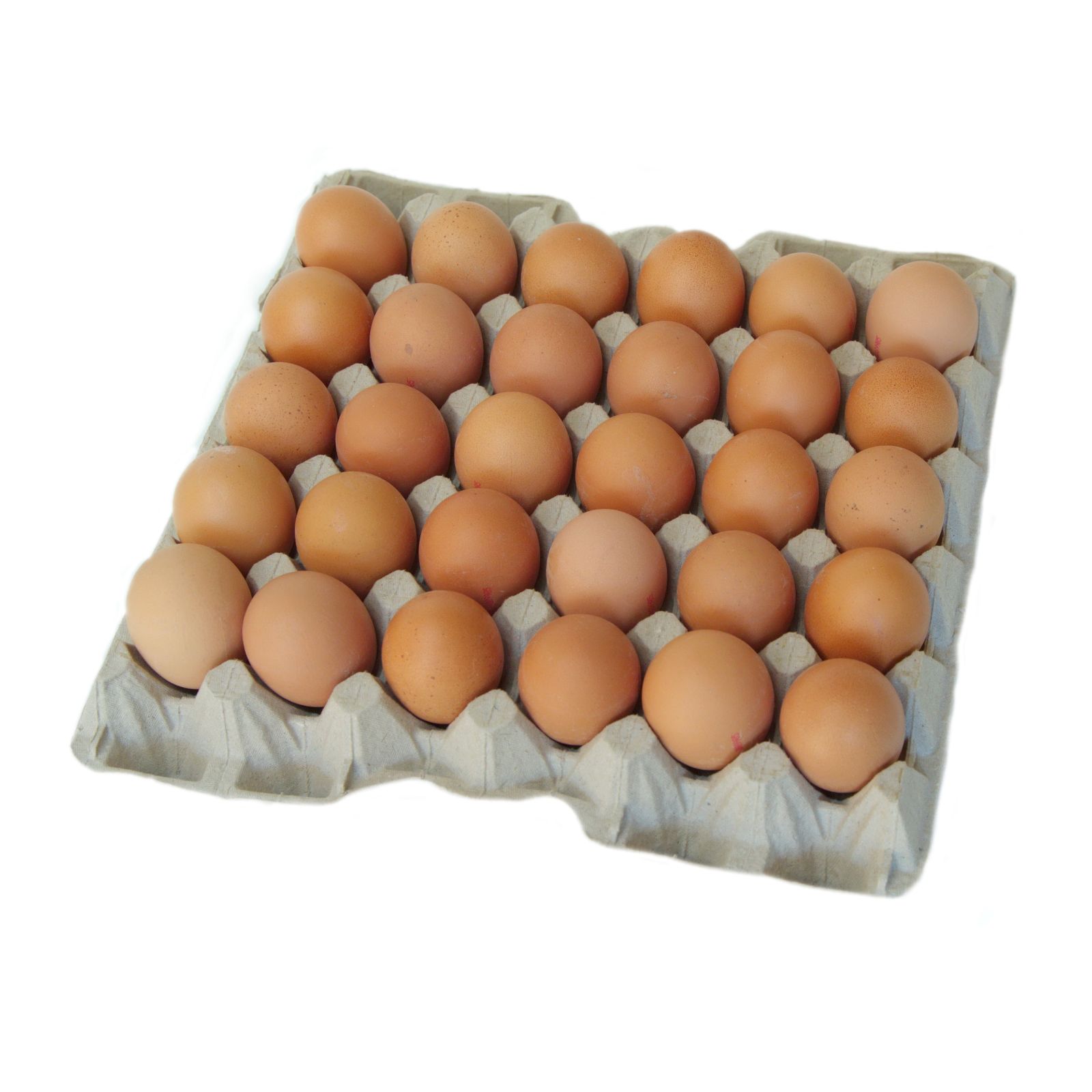 Eieren